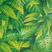 Papel de Parede Folhas Tropicais - PP320 Rolo de 1m2 - 8