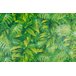 Papel de Parede Folhas Tropicais - PP320 Rolo de 1m2 - 2