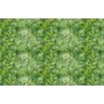 Papel de Parede Folhas Tropicais - Pp320 Rolo de 16m2 - 1