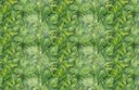 Ver imagem 1 de Papel de Parede Folhas Tropicais - Pp320 Rolo de 16m2