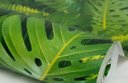 Ver imagem 4 de Papel de Parede Folhas Tropicais - Pp320 Rolo de 16m2