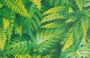 Ver imagem 3 de Papel de Parede Folhas Tropicais - Pp320 Rolo de 16m2