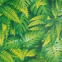 Ver mais imagens de Papel de Parede Folhas Tropicais - Pp320 Rolo de 16m2