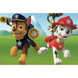 Painel Festa Patrulha Canina 150x100cm - 1