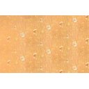 Ver imagem 1 de Papel de Parede Arabesco Folhas Eiffel - Pp216-1 Rolo de 7m2