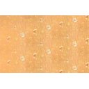 Ver imagem 1 de Papel de Parede Arabesco Folhas Eiffel - Pp216-1 Rolo de 7m2