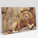 Ver imagem 2 de Quadro Decorativo em Canvas Leão TaColado Moldura Flutuante 4,5cm Freijó 120 x 80cm