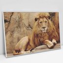 Ver imagem 4 de Quadro Decorativo em Canvas Leão TaColado Moldura Flutuante 4,5cm Freijó 120 x 80cm