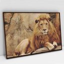 Ver imagem 5 de Quadro Decorativo em Canvas Leão TaColado Moldura Flutuante 4,5cm Freijó 120 x 80cm