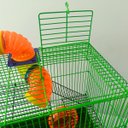 Ver mais imagens de Gaiola Hamster 3 Andares Colorida com Casa Tubos e Rodinha - Verde