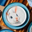 Ver imagem 3 de Jogo Pratos Sobremesa Sorrisos Coelho Branco 21,5cm Kit 8pç