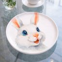 Ver imagem 4 de Jogo Pratos Sobremesa Sorrisos Coelho Branco 21,5cm Kit 8pç