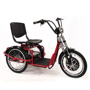 Triciclo Elétrico 800w Freio a Disco com Ré Farol e Alarme Fox Vermelho - Duos Bike