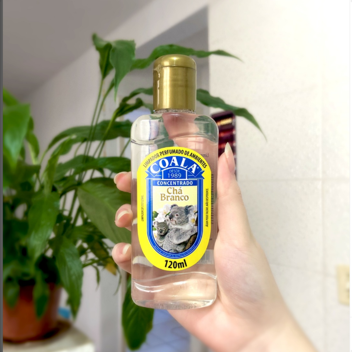 Kit Chá Branco Limpador 120ml e Odorizante Tecidos 260ml - 7
