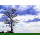 Ver imagem 1 de Tela Decorativa - IDR189 - Retangular - 80 x 60cm