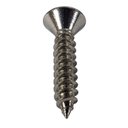 Ver imagem 3 de Parafuso Inox Auto Atarraxante Chata Phillips Stein 3,9x19 Caixa com 300 Peças