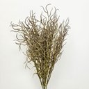 Ver imagem 3 de Planta Artificial Capim Com Raiz Marrom 42x15cm Vime