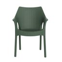 Ver imagem 2 de Cadeira Relic I'm In Verde Alecrim Grifit Relic - I'm In
