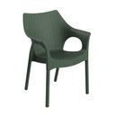 Ver imagem 1 de Cadeira Relic I'm In Verde Alecrim Grifit Relic - I'm In