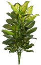 Ver imagem 1 de Planta Artificial Arvore Comigo Ninguém Pode Golden X51 Verde 1,38cm