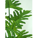 Ver imagem 2 de PLANTA ÁRVORE ARTIFICIAL IMBÉ LUXO C/RAIZ 66CM VERDE