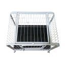 Ver imagem 6 de Gaiola de Transporte Cao Cachorro Gato Pet Canil Veterinario Petshop Rodinhas 360 Bandeja Removivel 