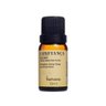 Blend de Óleos Essenciais Confiança 10ml Via Aroma - Sinergia - 1