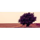 Ver imagem 1 de Tela Decorativa - IDR118 - Panorâmico - 150 x 60cm