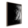 QUADRO DECORATIVO LEÃO TRIBO JUDAH SOMBRA:Madeira - 1