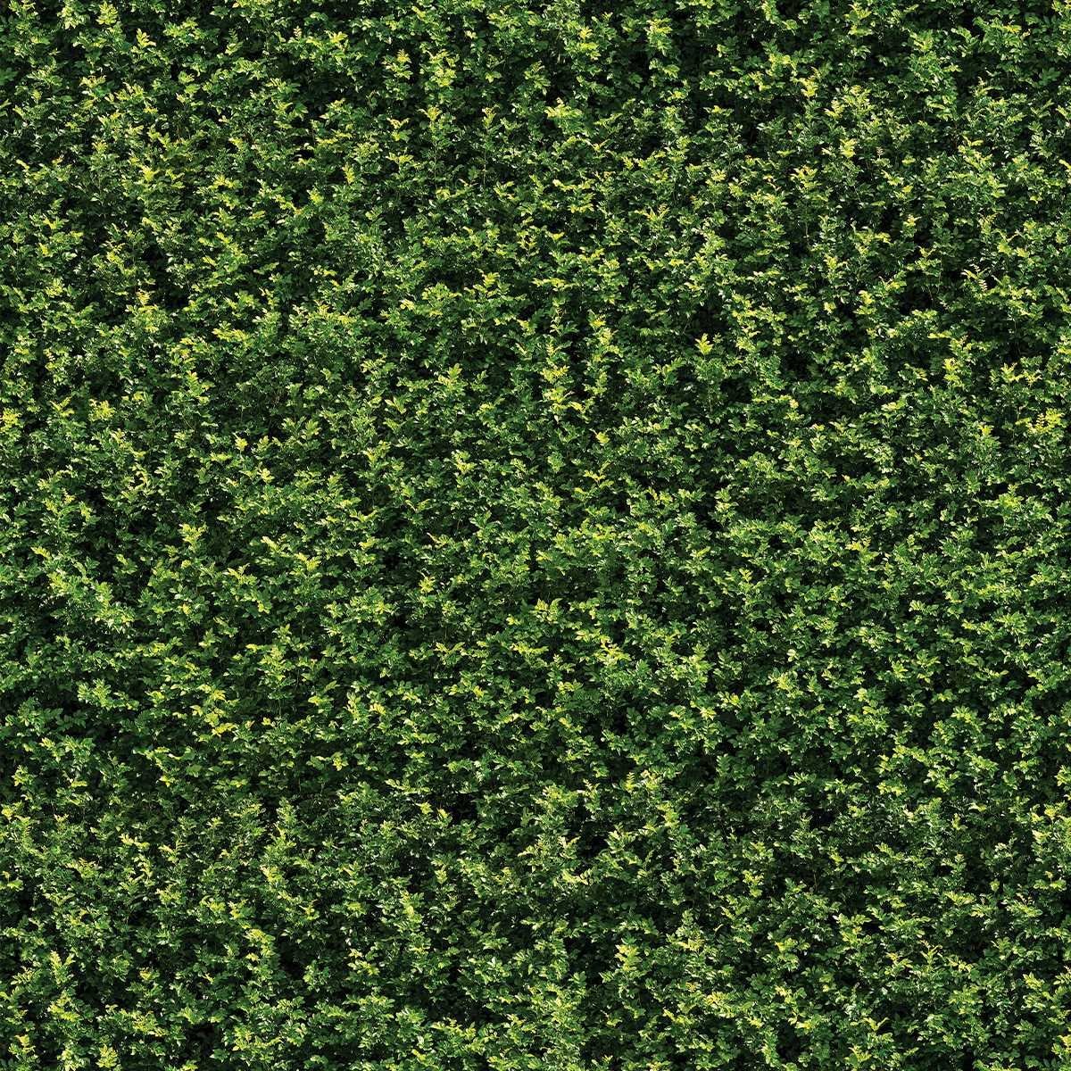 Papel de Parede Muro de Pedras Naturais Com Flores Verdes, Fácil e Prático