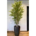 Ver imagem 2 de Planta Árvore Artificial Bambu da Sorte Verde 150cm 10 Galho