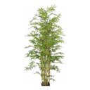 Ver imagem 1 de Planta Árvore Artificial Bambu da Sorte Verde 150cm 10 Galho
