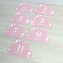 Ver imagem 3 de Kit Mesversário Placa Boas Vindas Acrílico Bebê Decorar Foto Menina Plaquinha Decoração Nuvem Rosa