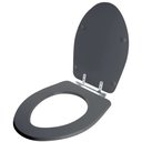 Ver imagem 2 de Tampa de Vaso Sanitário Absolute Cinza Quartzo (Cinza Escuro) para bacia Ideal Standard