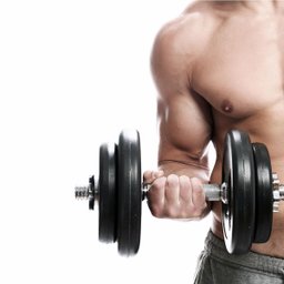 Suporte Halteres Anilhas Musculação Academia Supino Peso - 4