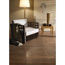 Ver imagem 2 de Porcelanato Canela Dourada Natural 20x120 Cm Portobello