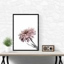 Ver imagem 1 de Quadro Foto Flor Moderna Rosa 45x34cm:moldura Branca