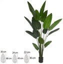 Ver imagem 1 de Planta Artificial Arvore Bananeira de Jardim Pu C/pote X15 Verde 2,50cm