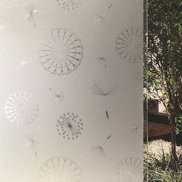 Película Adesivo Eletrostática Estática 3d Vidro Dente Leão - 1