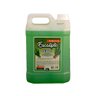 Essência Eucalipto Aromatizante Concentrado para Sauna 5l - 1