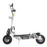 Patinete Scooter Elétrico Two Dogs 1000w 36v Com Computador De Bordo Branco - 3