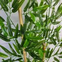 Ver imagem 4 de Kit 2 Planta Artificial Bambu 1 Metro sem Vaso Decorativo
