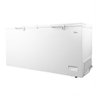 Freezer Horizontal Philco 492 Litros 2 Portas Branco Pfh515b - 127 Volts - 2