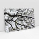 Ver imagem 6 de Quadro Decorativo Galhos de Árvore Sala Quarto Casa Escritório