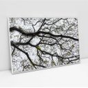 Ver imagem 2 de Quadro Decorativo Galhos de Árvore Sala Quarto Casa Escritório