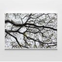 Ver imagem 3 de Quadro Decorativo Galhos de Árvore Sala Quarto Casa Escritório