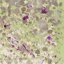 Ver imagem 5 de Papel de Parede Abstrato Olivia - Pp012 Rolo de 16m2