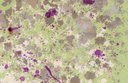 Ver imagem 2 de Papel de Parede Abstrato Olivia - Pp012 Rolo de 16m2