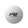 Bola Tênis de Mesa 40mm (1 Estrela) com 10 Unidades - DHS - 1