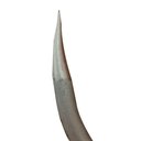 Ver imagem 6 de Balança Estadeira Manual Capacidade 300kg BE300 - Brião